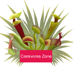 Carnivores.Zone