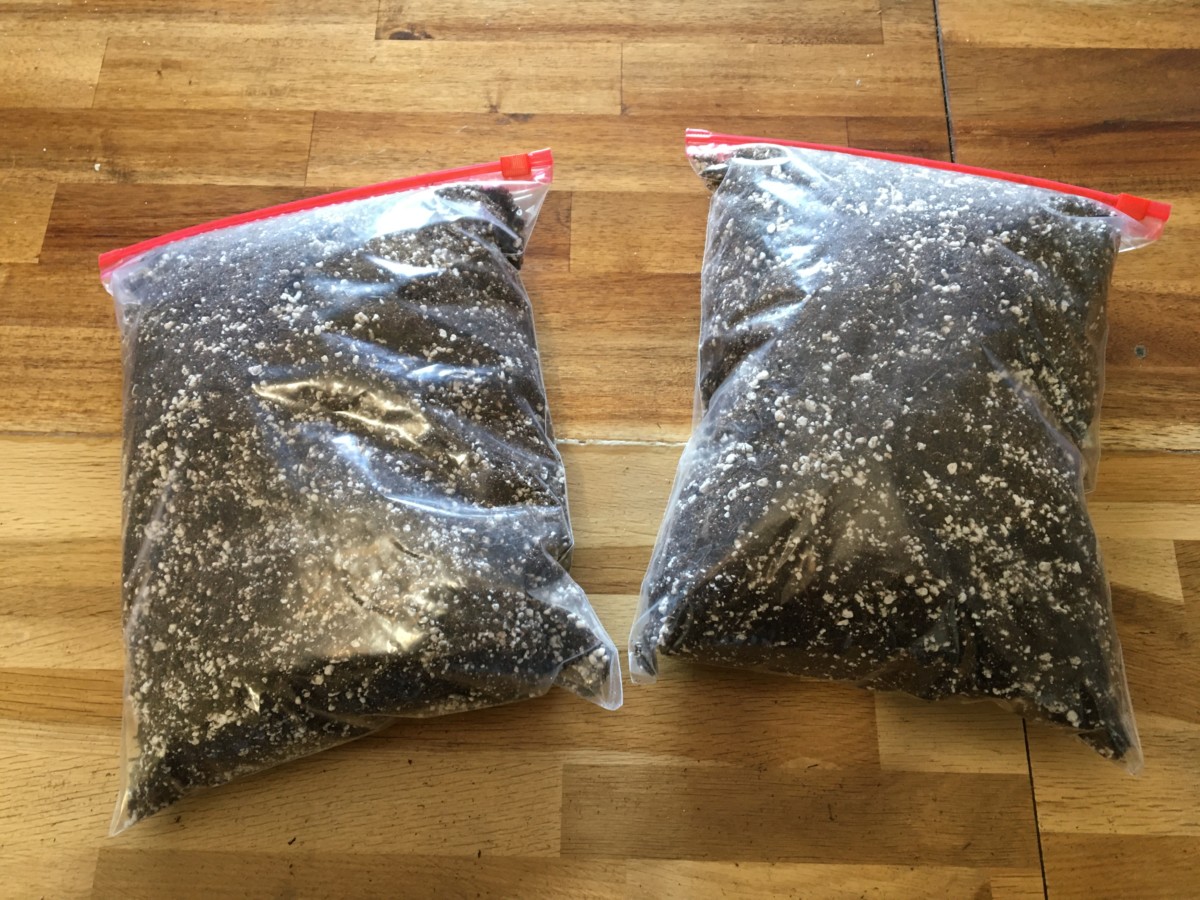 Perlite Horticole 3L - Substrat Drainant Pour Plantes Carnivores, Orchidées, Semis | 100% Naturel Et Léger