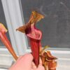 Sarracenia x (S. flava var. ornata x S. x mitchelliana)(clone d) – Image 2