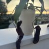 Nepenthes Rebecca Soper (grande) – Image 2