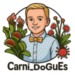 Icône de la boutique